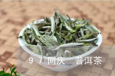 97同庆 普洱茶/2023041007502